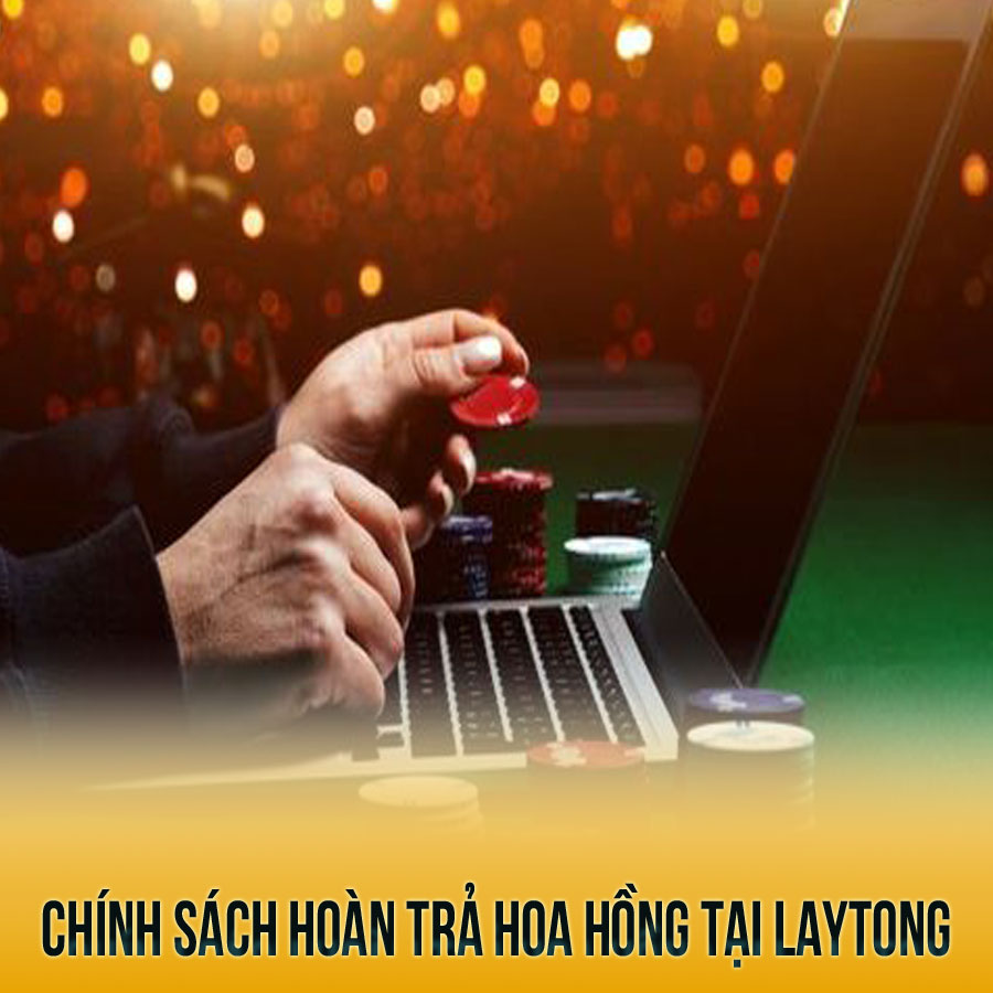 Chính sách hoàn trả tiền hoa hồng (COM) tại Laytong