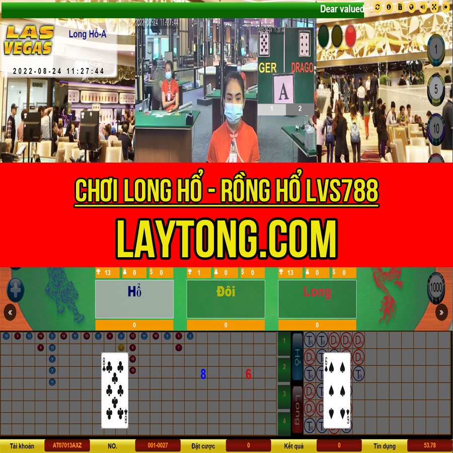 Long hổ - Rồng hổ LVS788