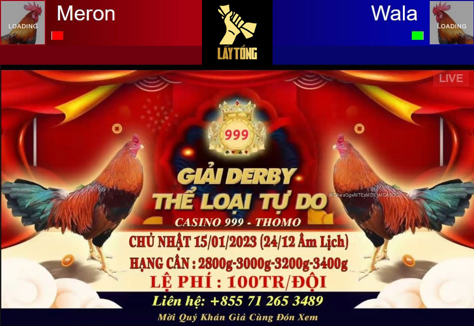 Giải đá gà Derby thể loại tự do